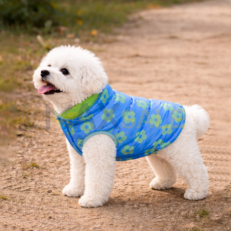 Стилно двулицево зимно яке за куче зелено / синьо на цветя 