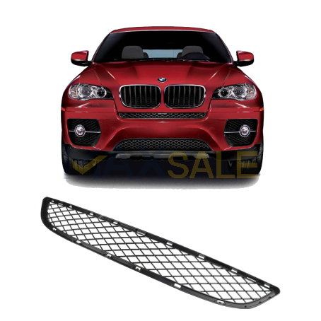 Централна решетка на предната броня на BMW X6 E71 (2008-2014)