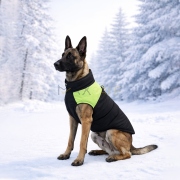 Стилно водоустойчиво яке за кучета в черно и зелено с топла подплата