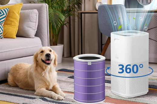 Струва ли си покупката на въздухопречиствател?